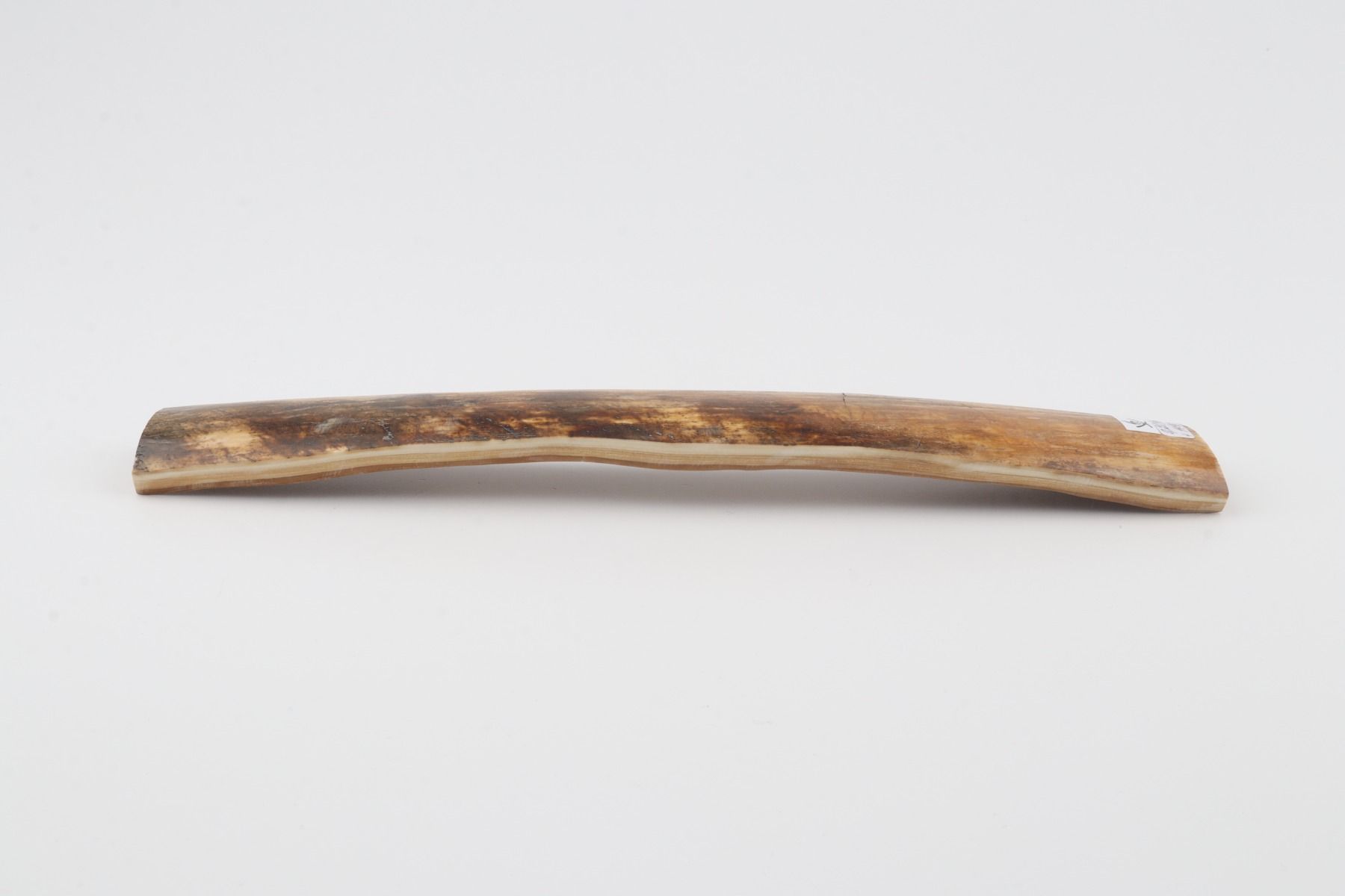 Natural woolly mammoth bark