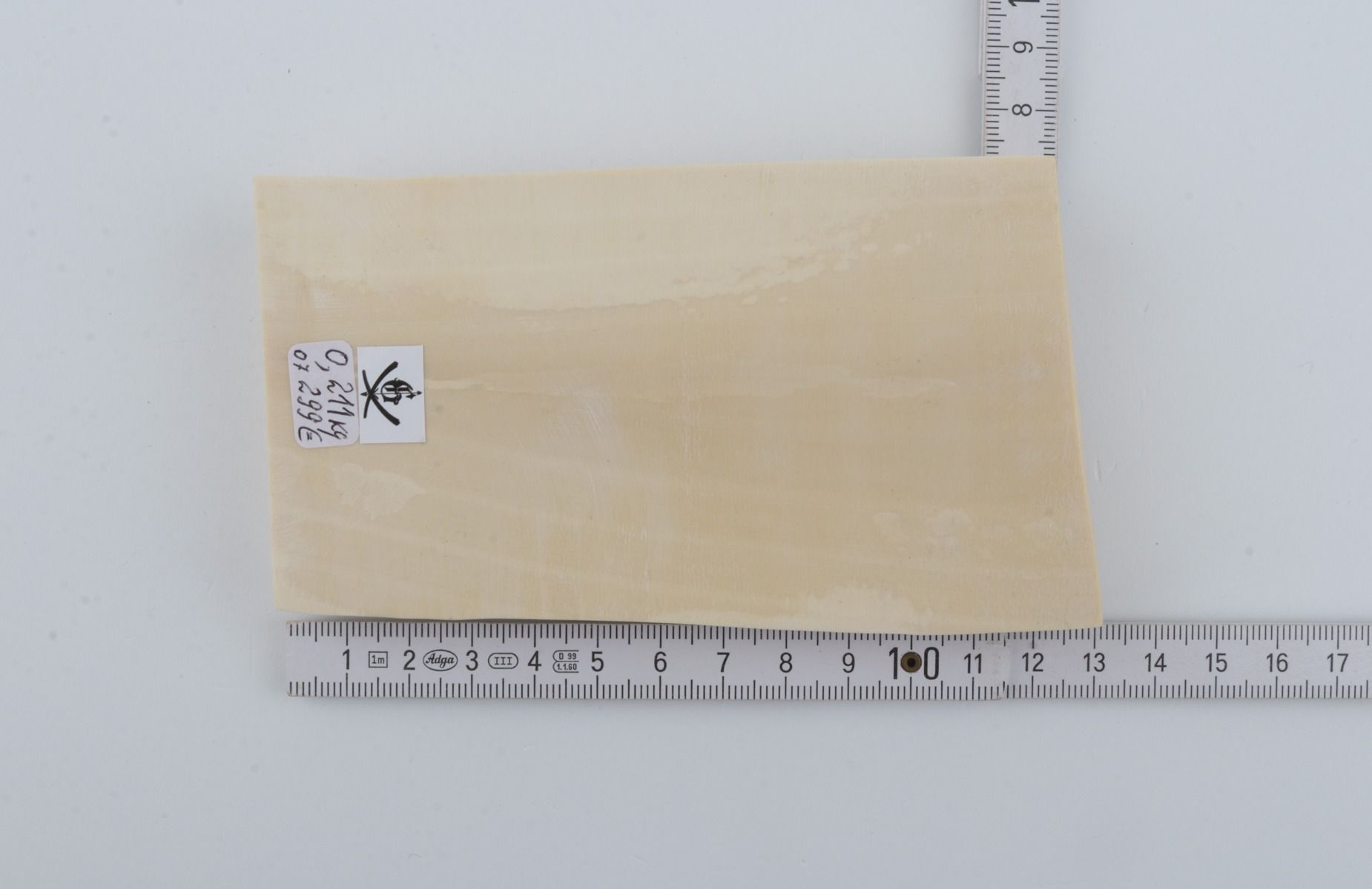 White mammoth ivory segment