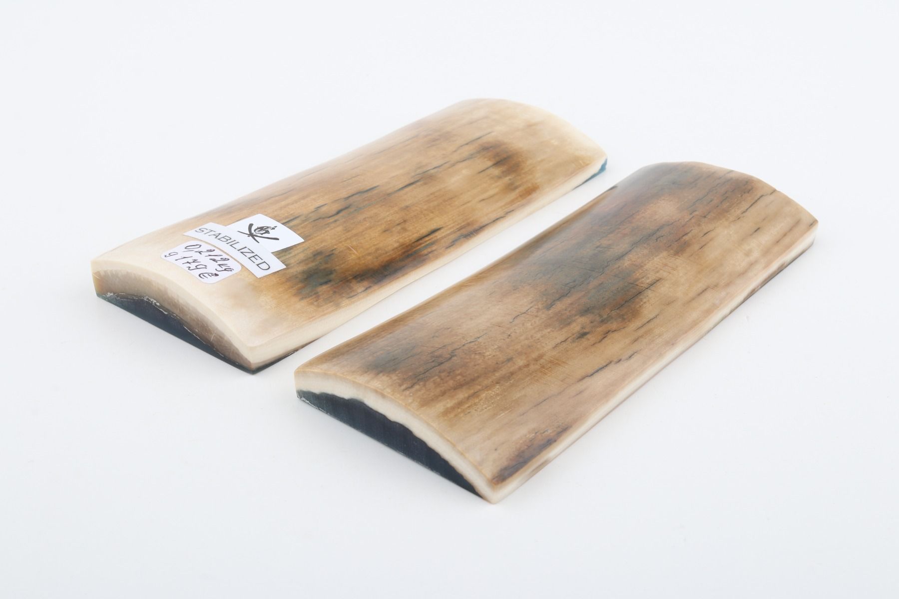 Stabilized mammoth bark scales