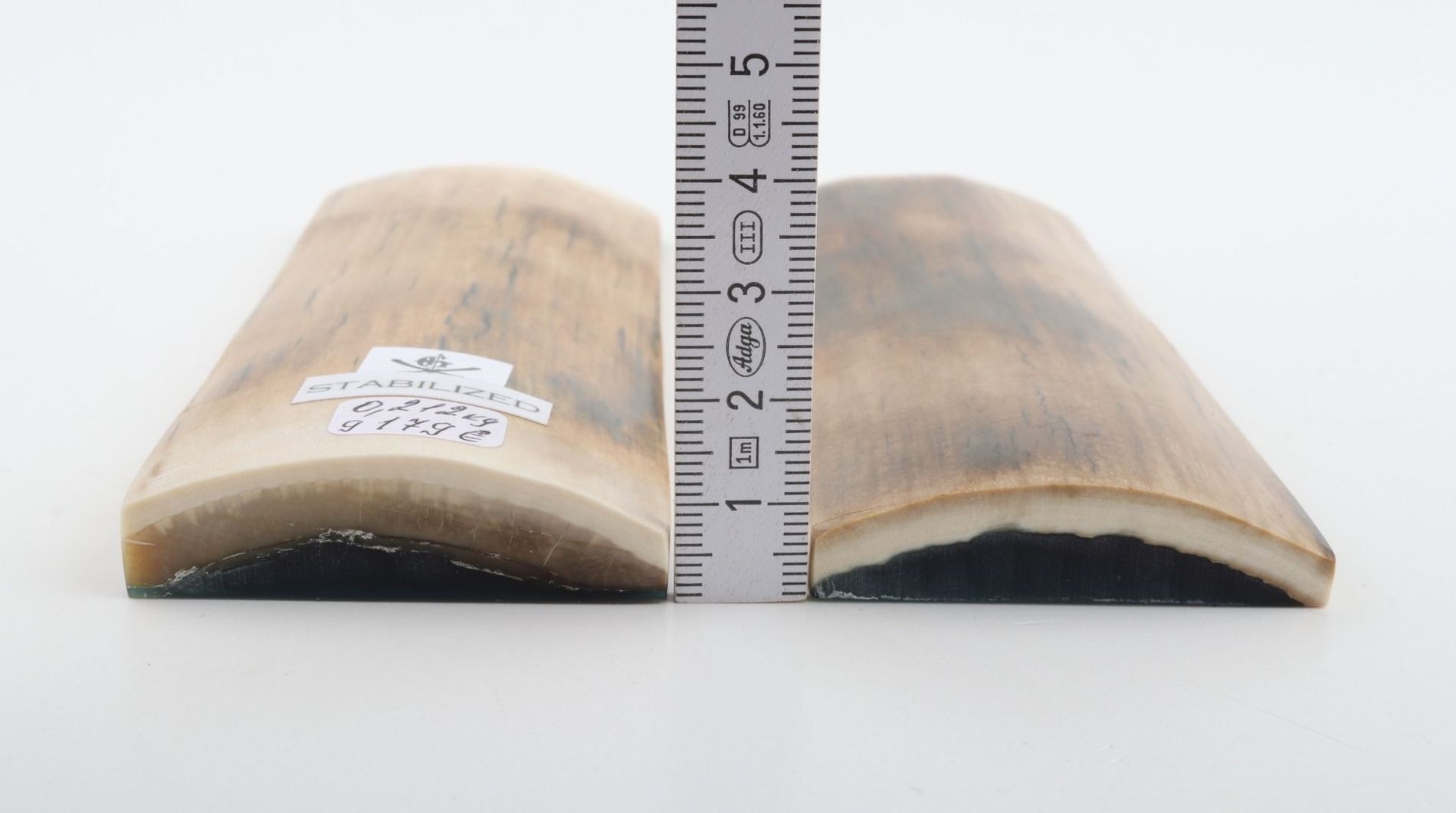 Stabilized mammoth bark scales