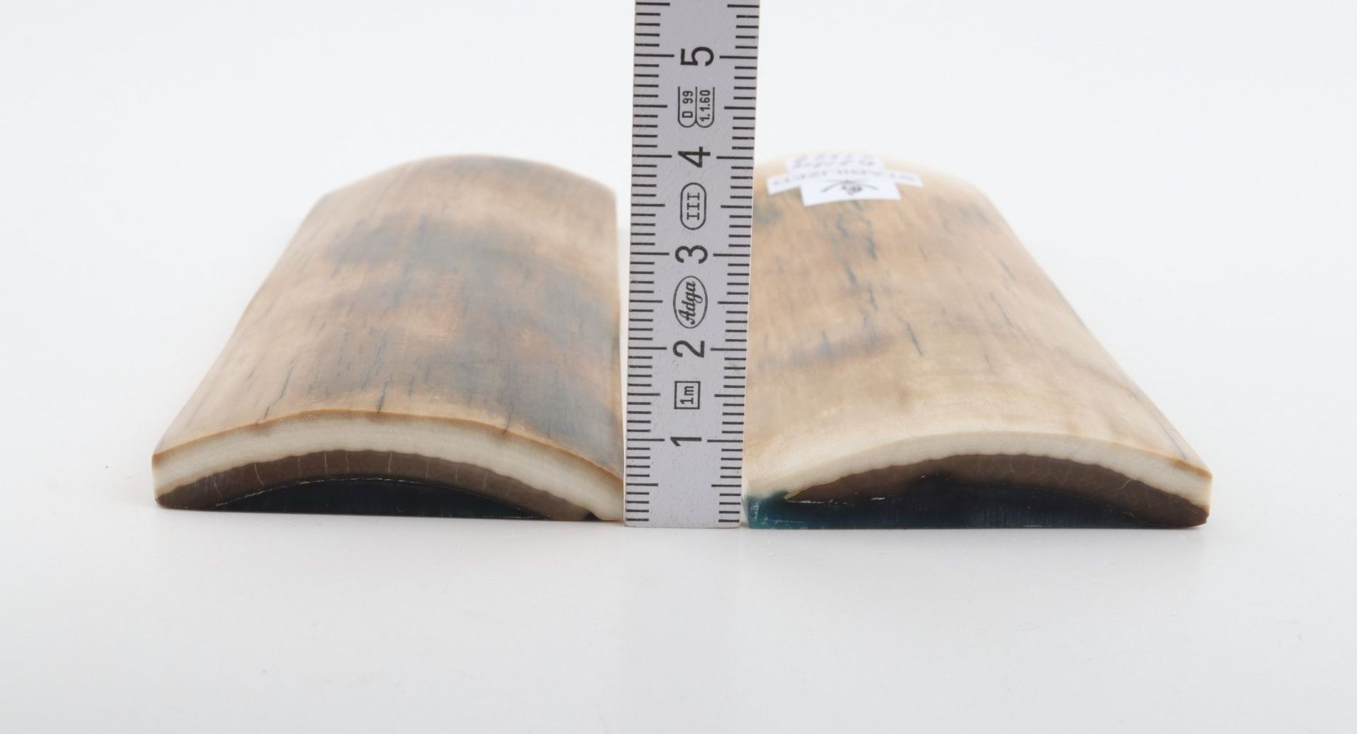 Stabilized mammoth bark scales