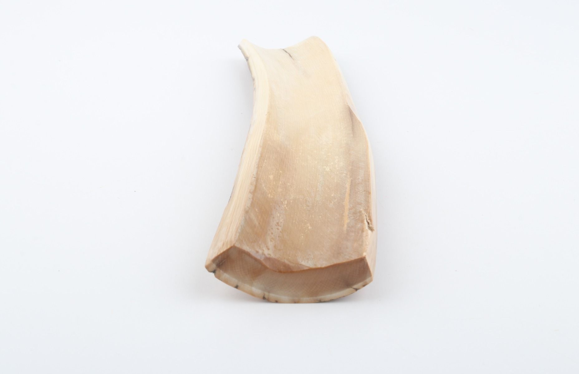 Natural woolly mammoth bark