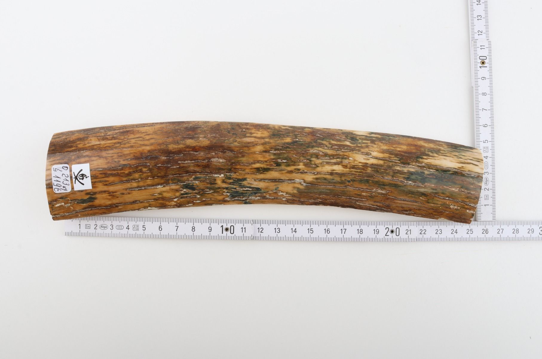Natural woolly mammoth bark