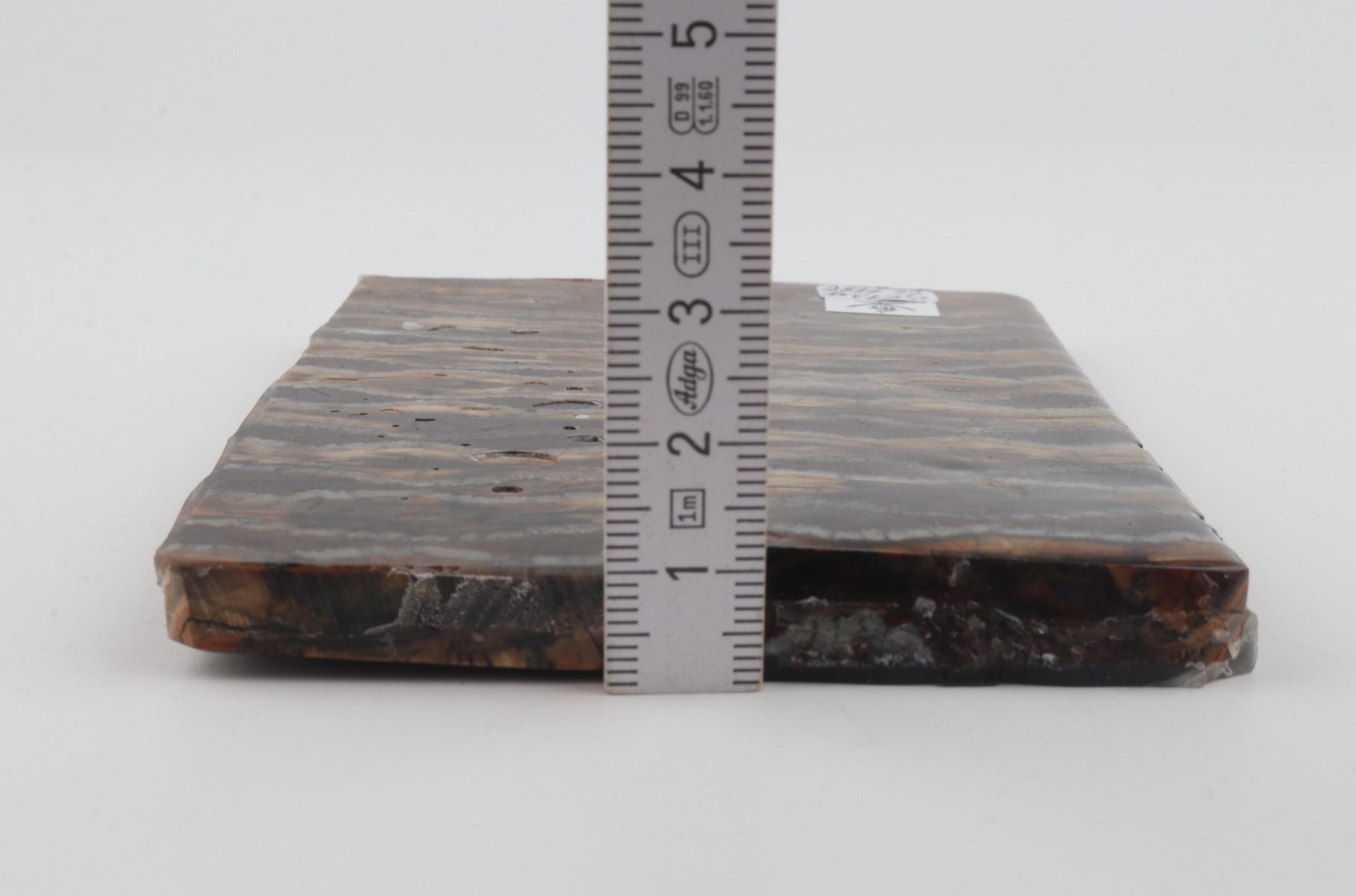 Stabilised mammoth molar scales