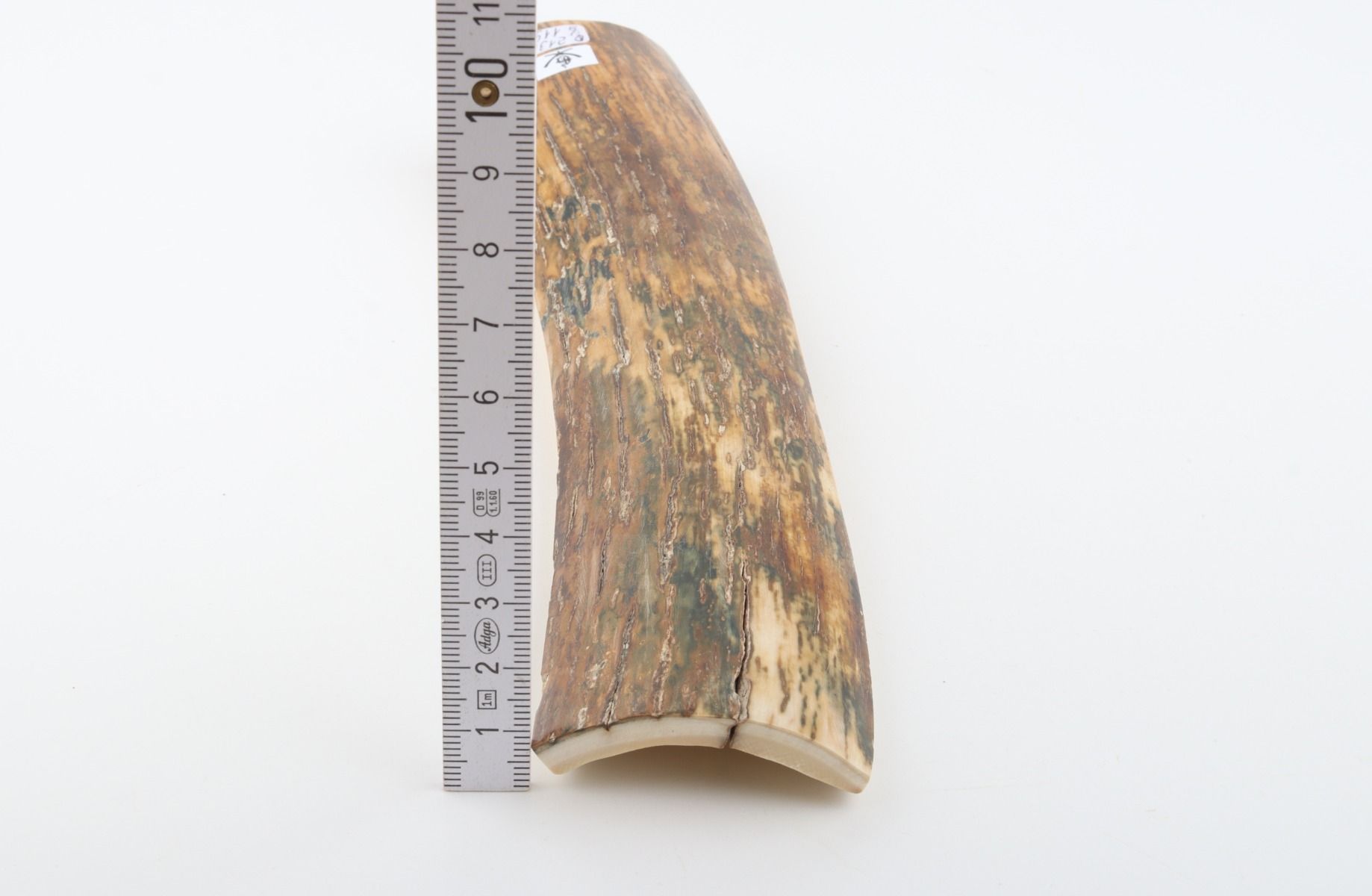 Natural woolly mammoth bark
