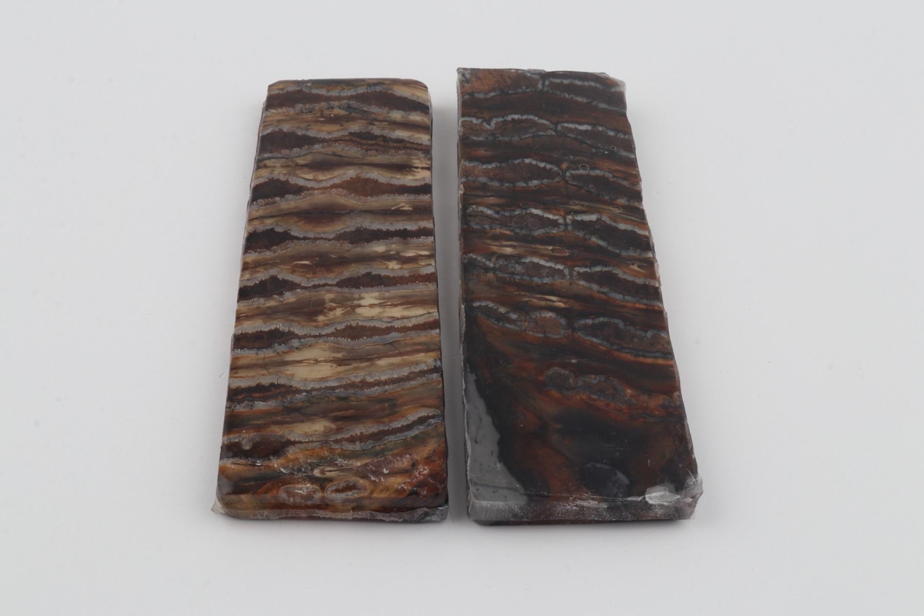 Stabilised mammoth molar scales