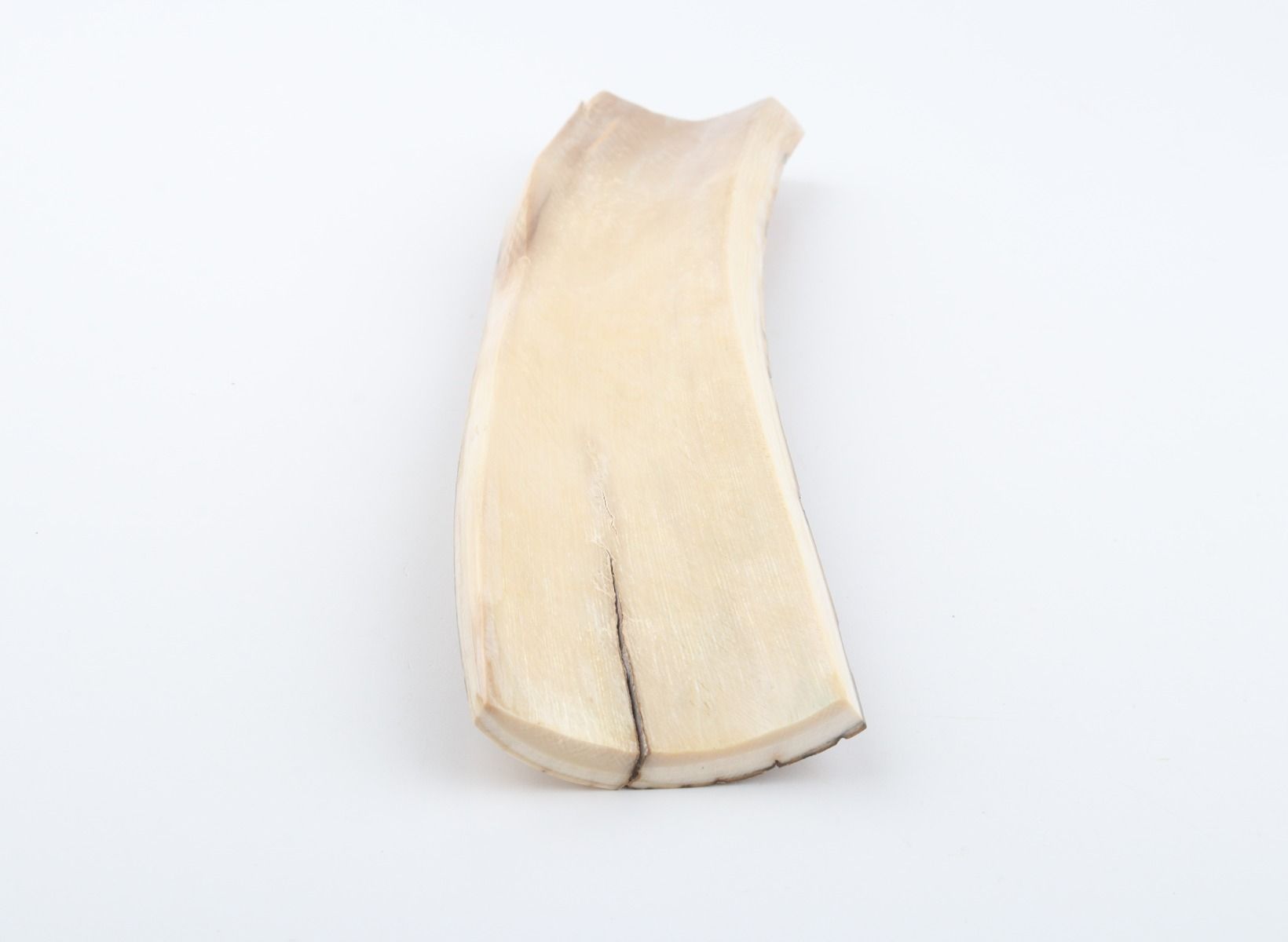 Natural woolly mammoth bark