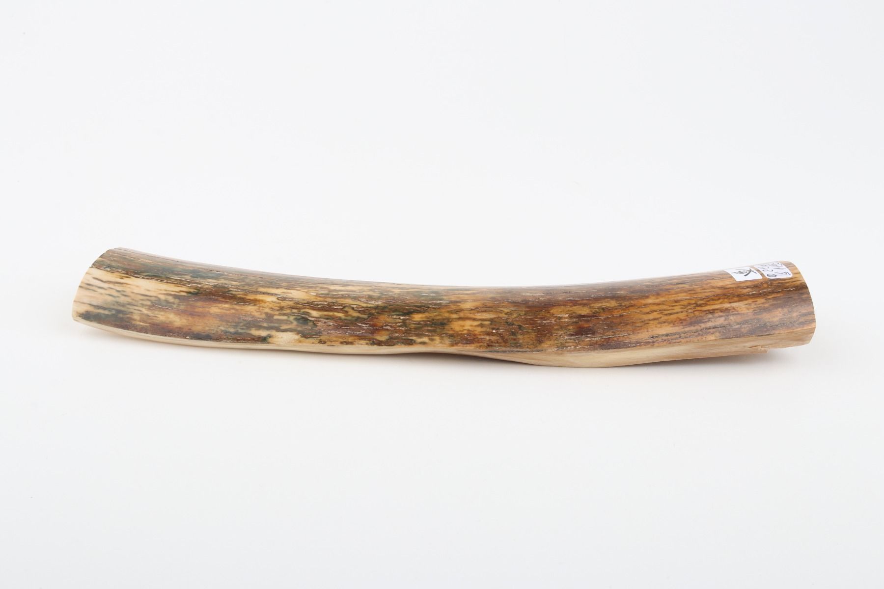 Natural woolly mammoth bark