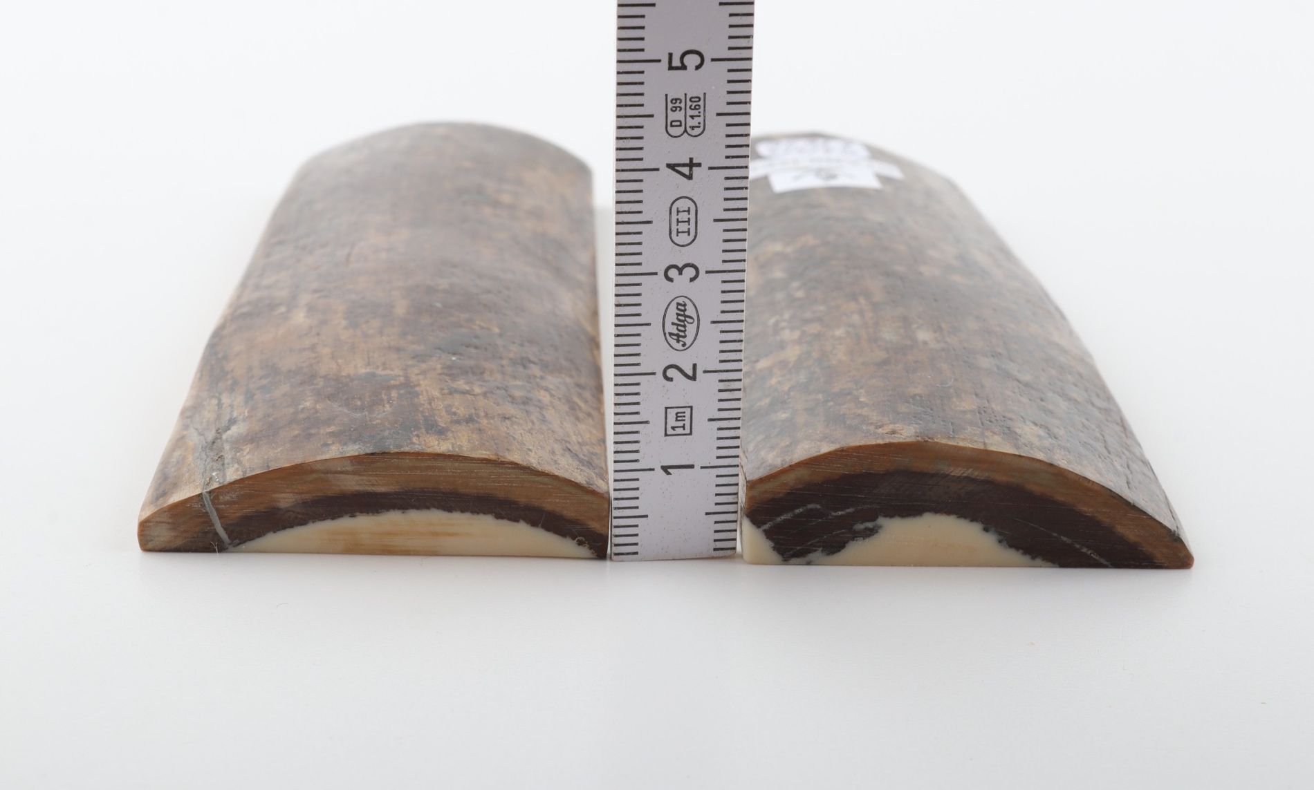 Stabilized mammoth bark scales