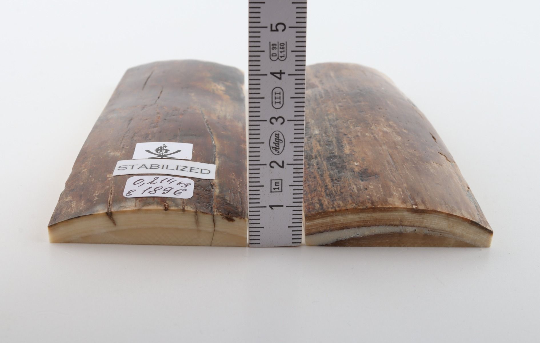 Stabilised mammoth bark scales