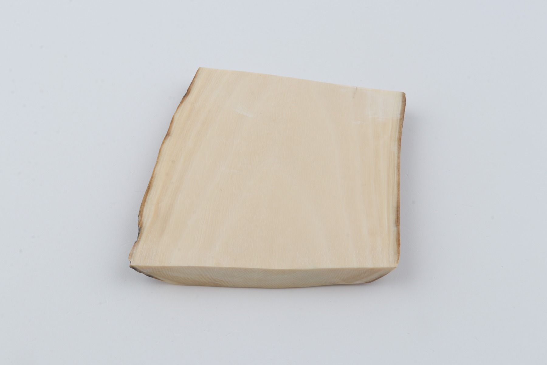 White mammoth ivory segment