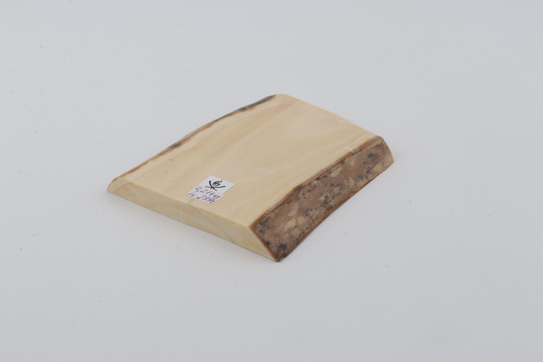 White mammoth ivory segment