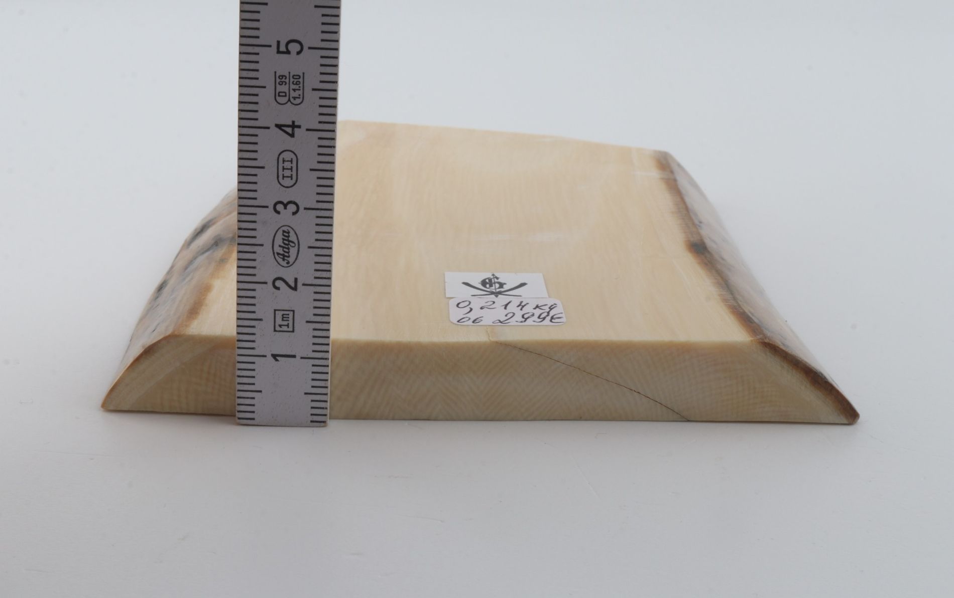 White mammoth ivory segment