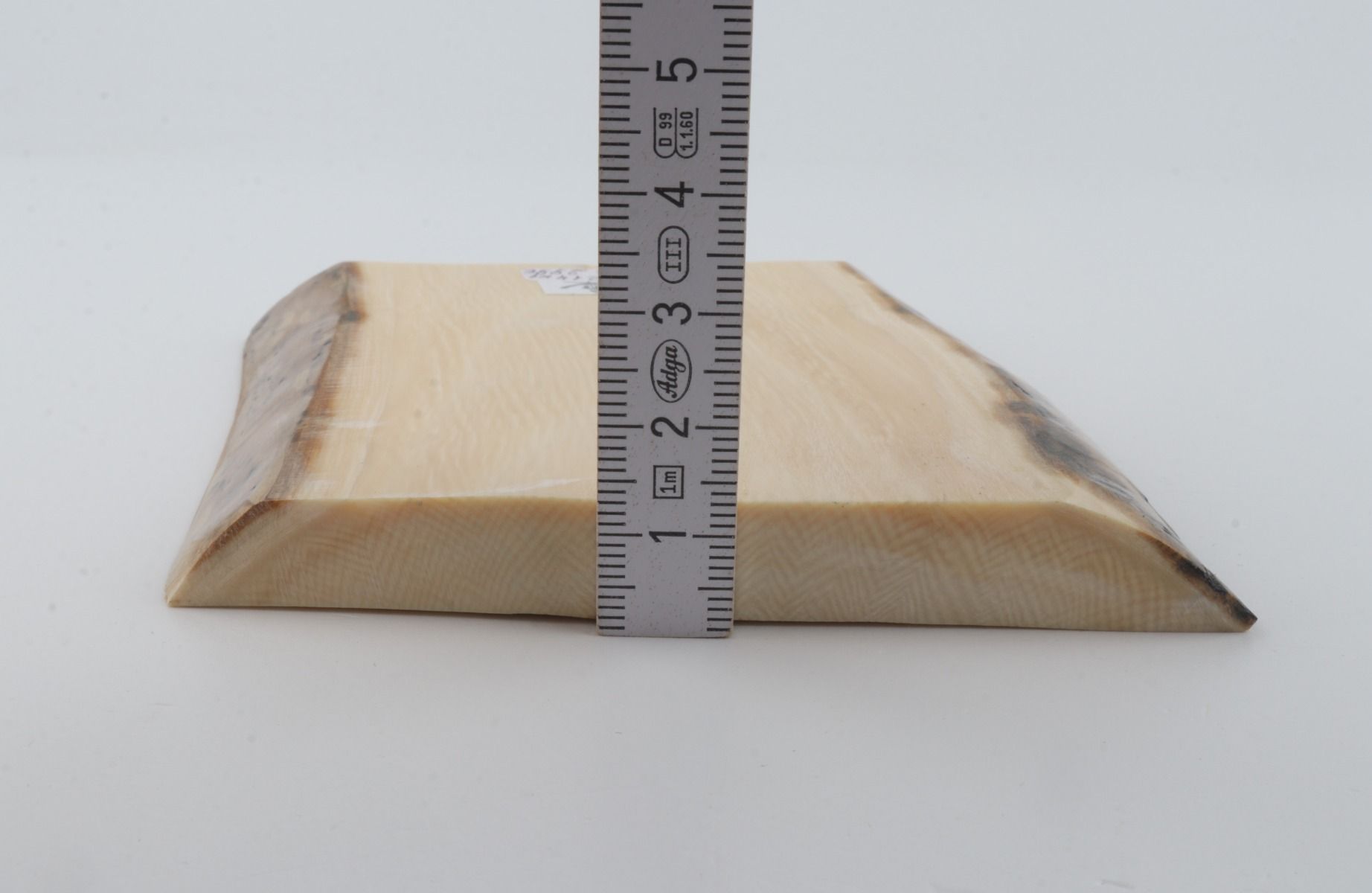 White mammoth ivory segment