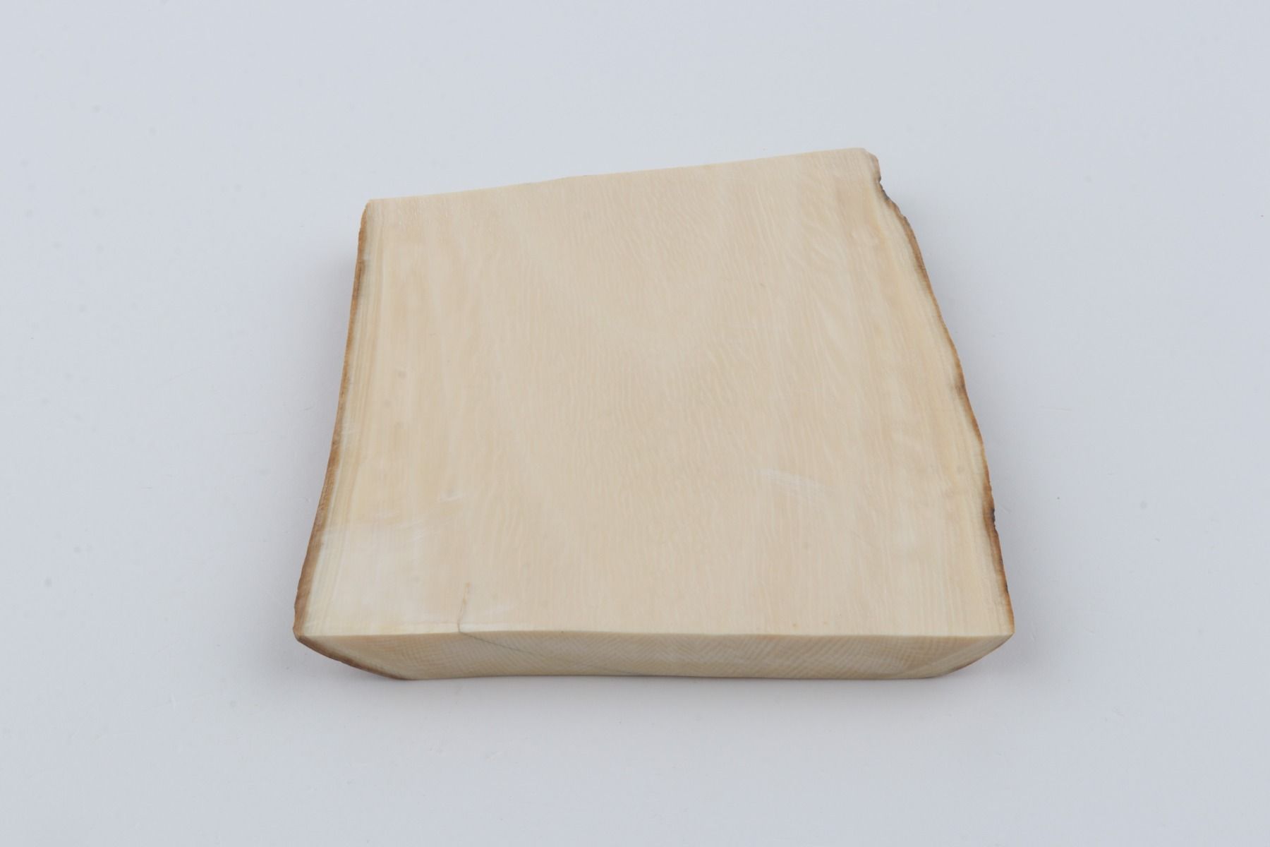 White mammoth ivory segment