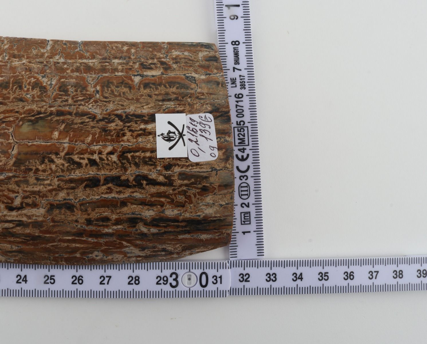 Beige mammoth bark