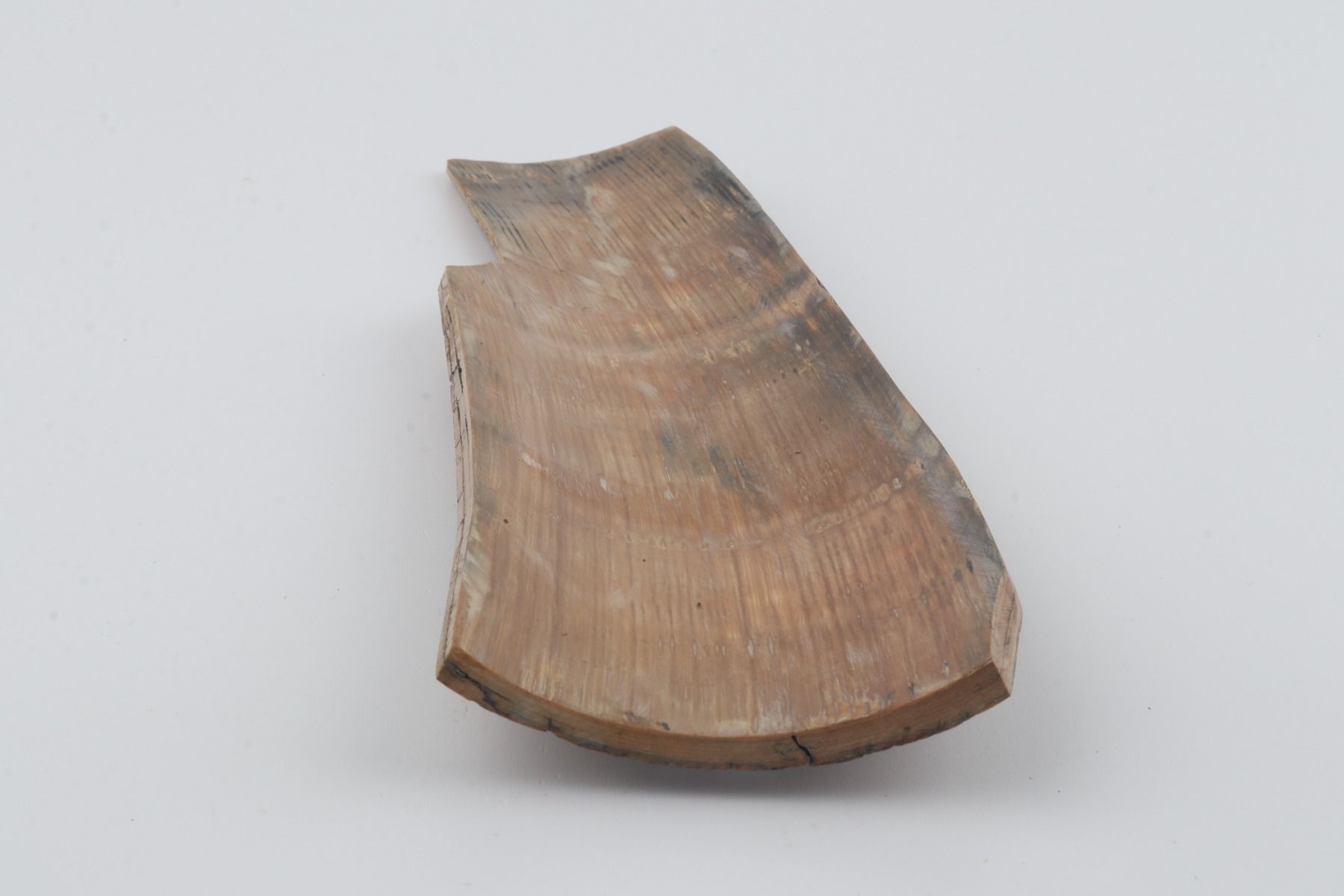Beige mammoth bark