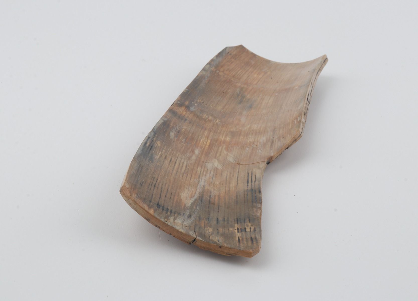 Beige mammoth bark