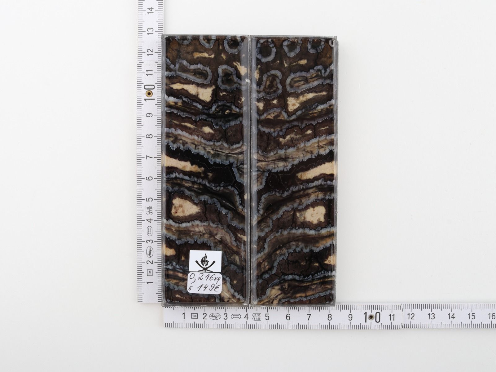 Stabilised mammoth molar scales