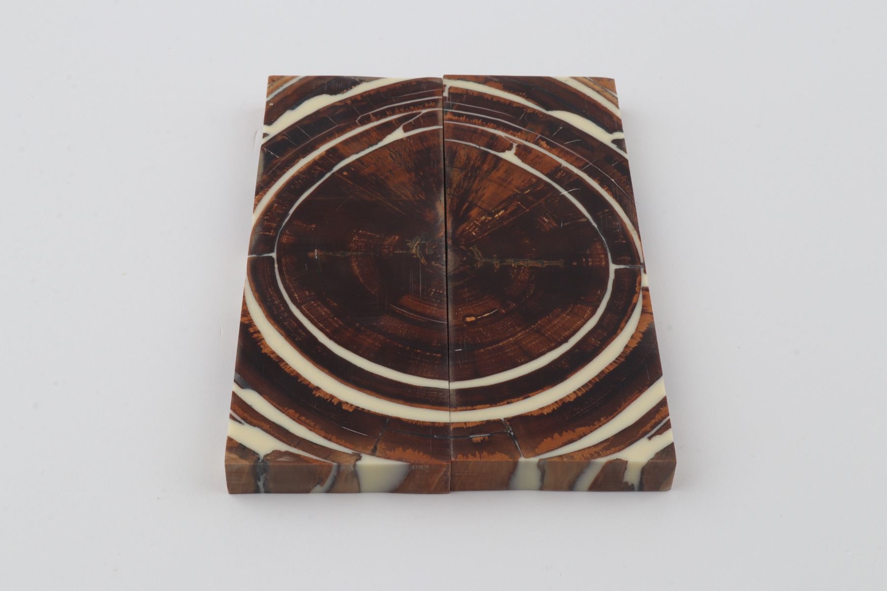 Stabilised mammoth ivory scales