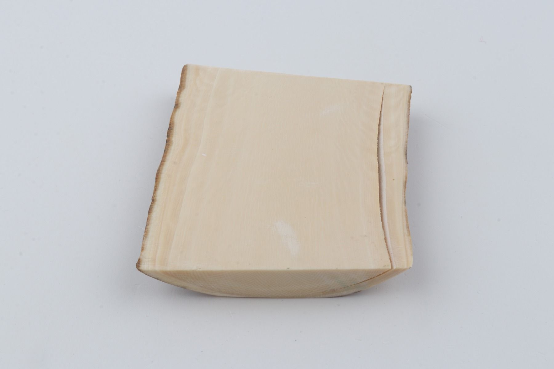 White mammoth ivory segment