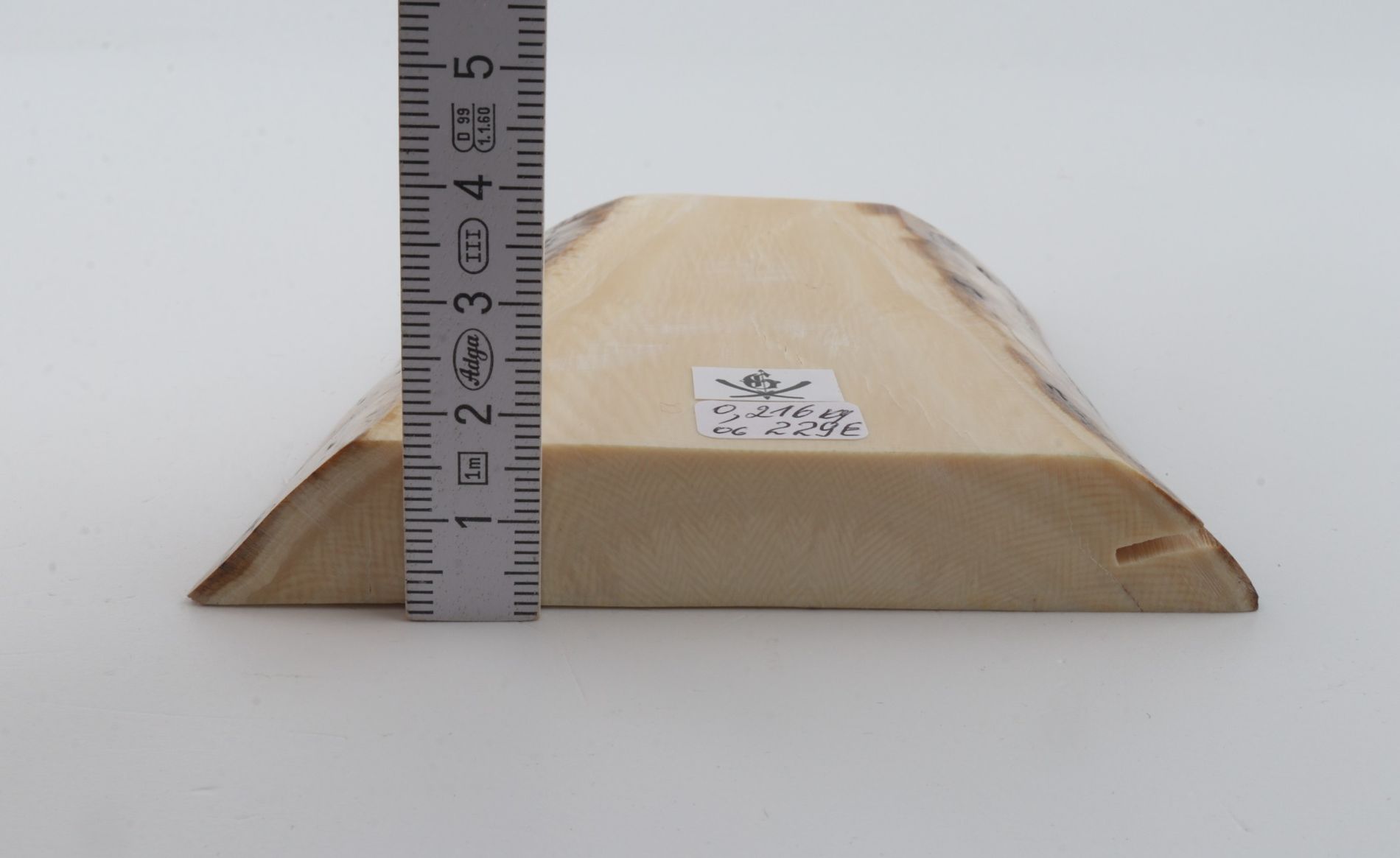 White mammoth ivory segment