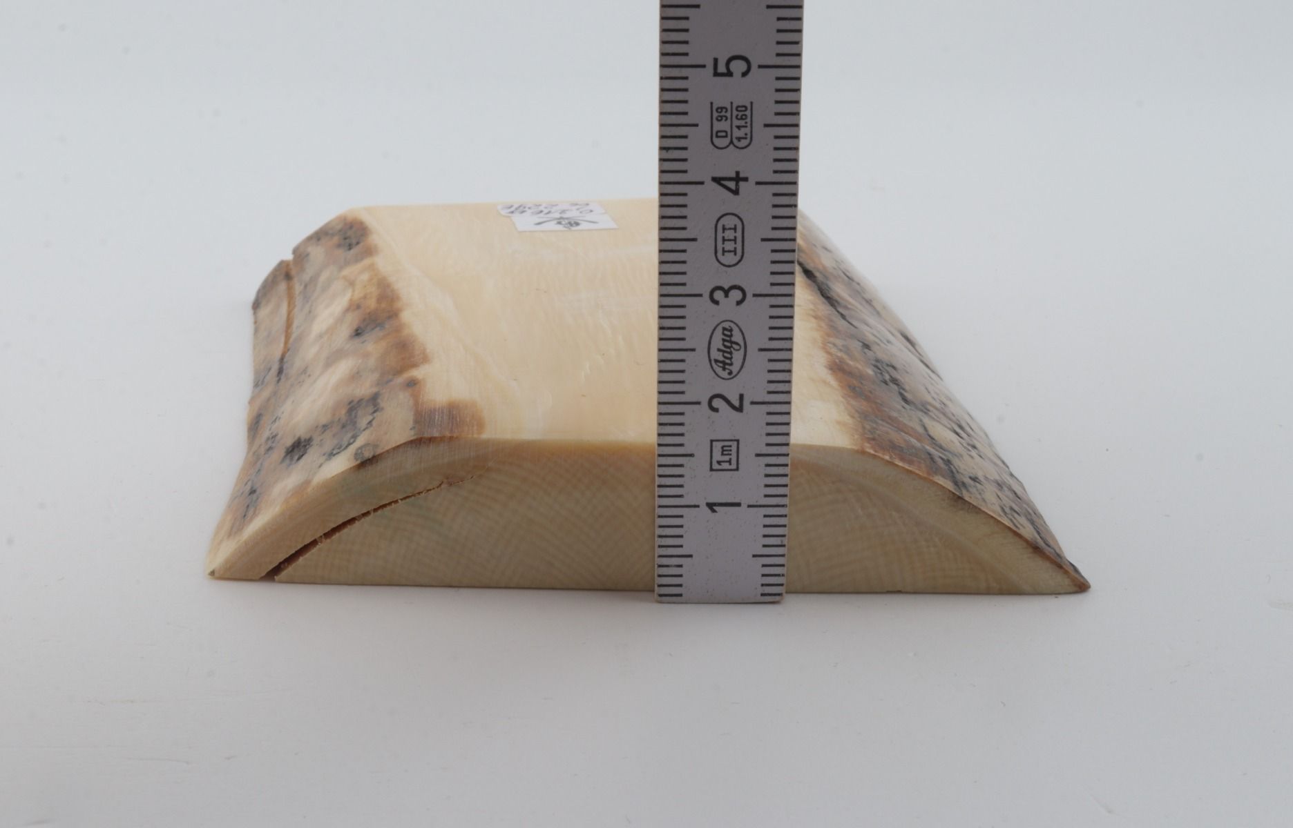 White mammoth ivory segment