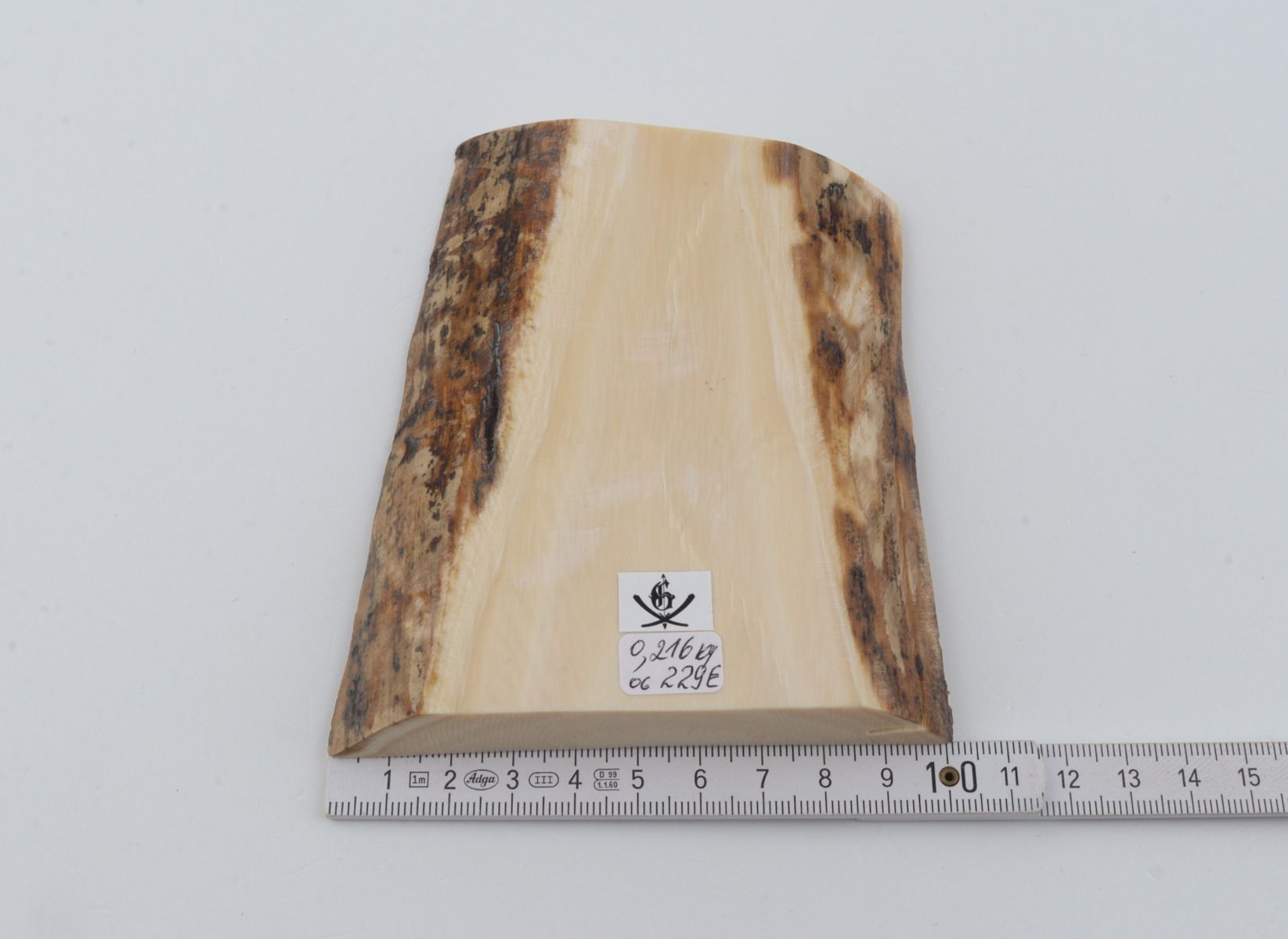 White mammoth ivory segment