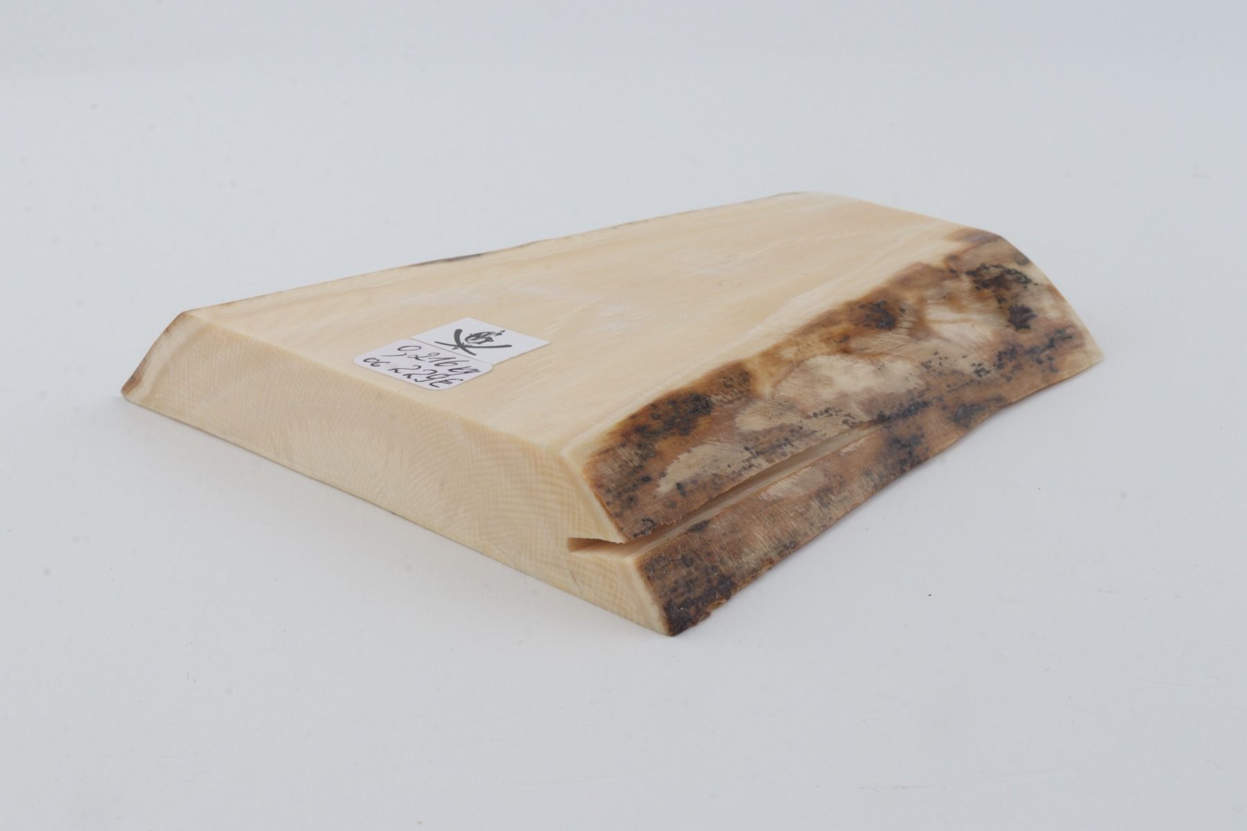 White mammoth ivory segment