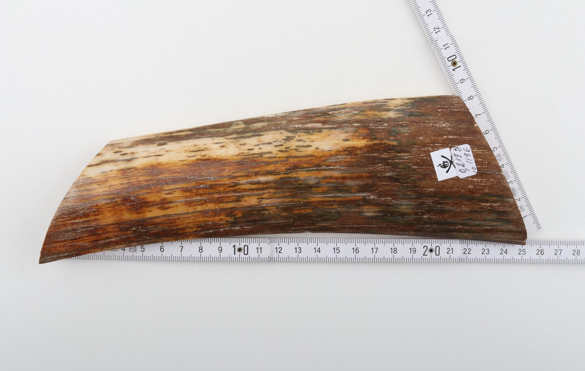 Brown-orange mammoth bark