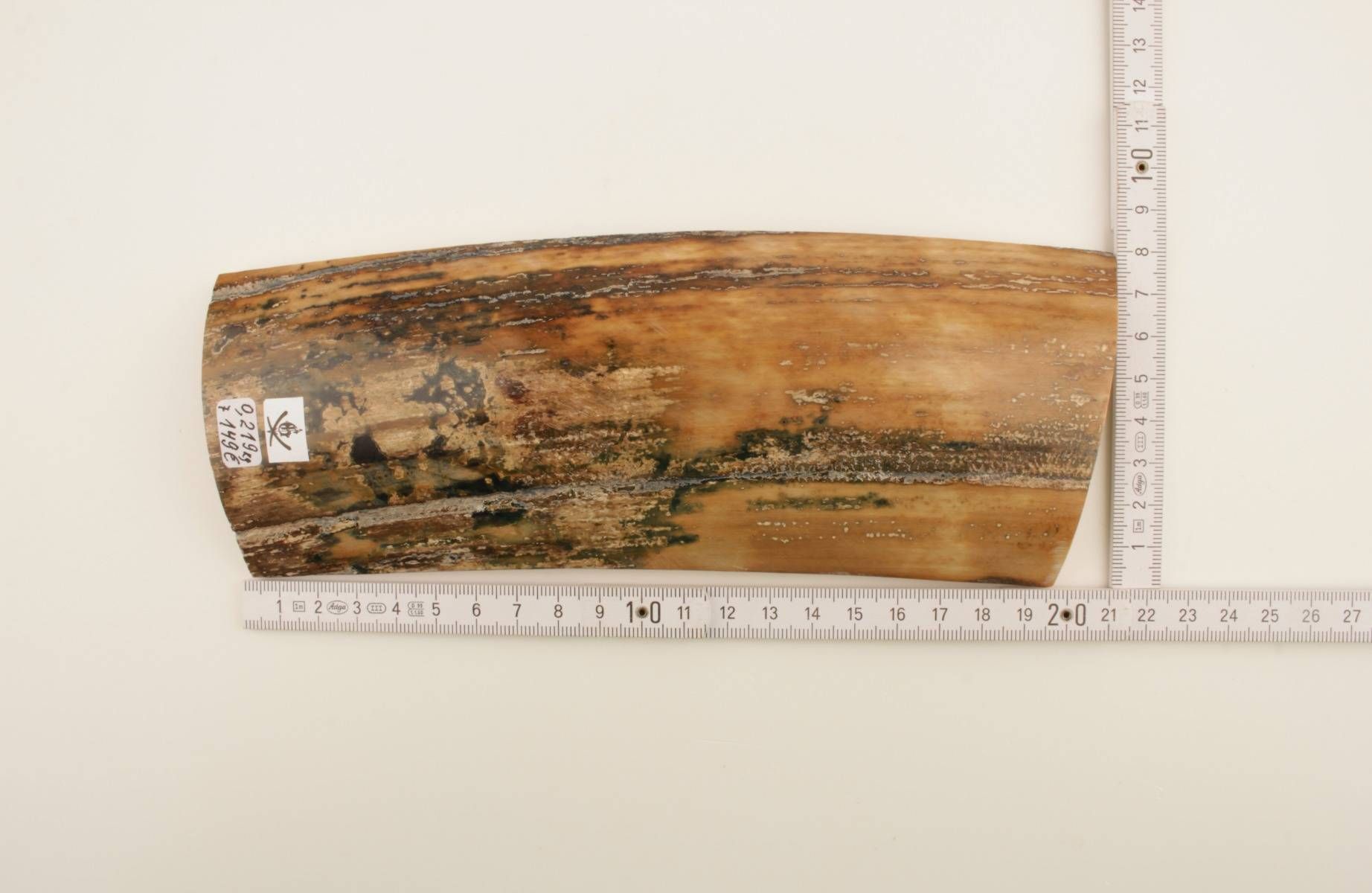 Natural mammoth bark