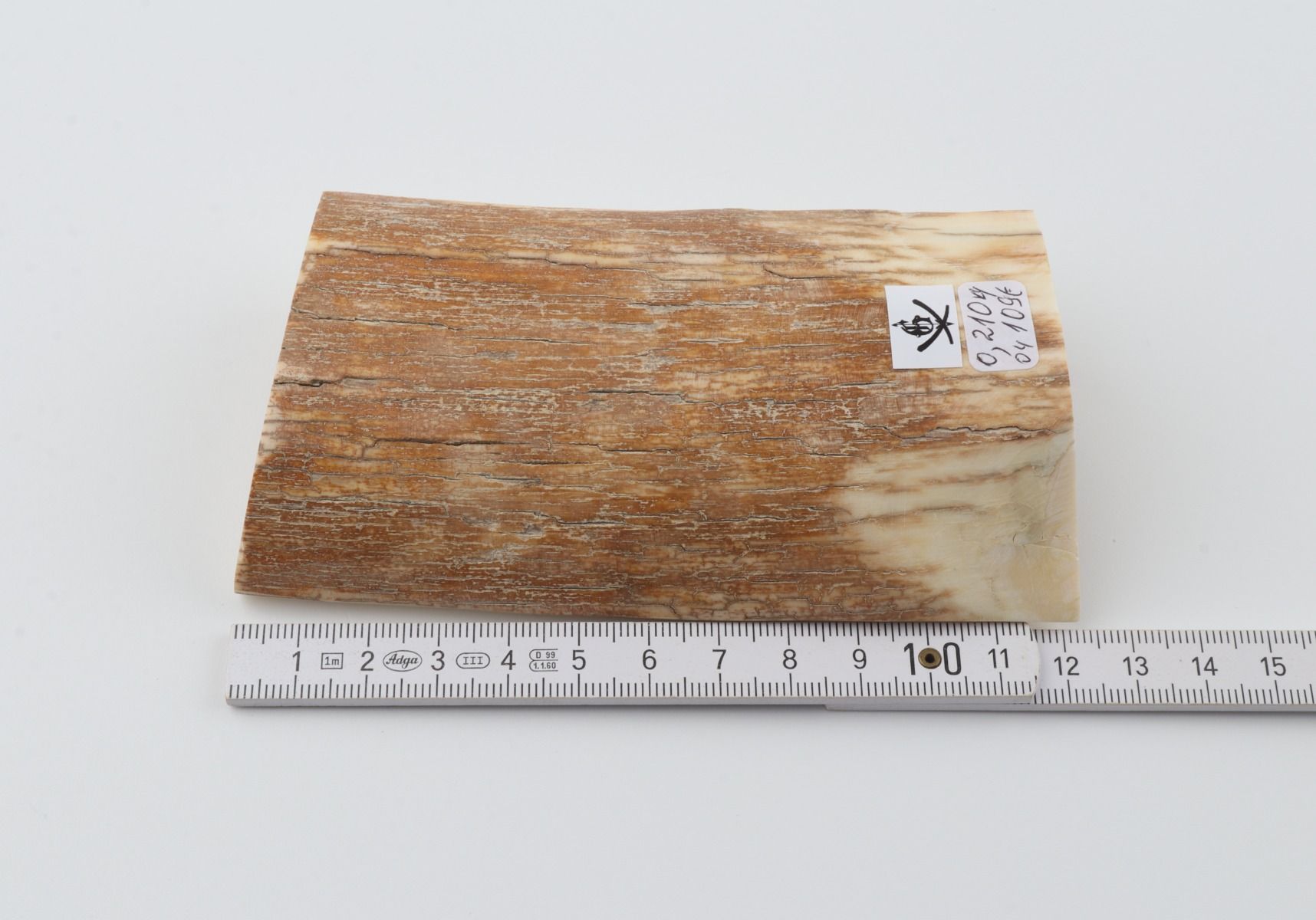 Natural mammoth ivory piece
