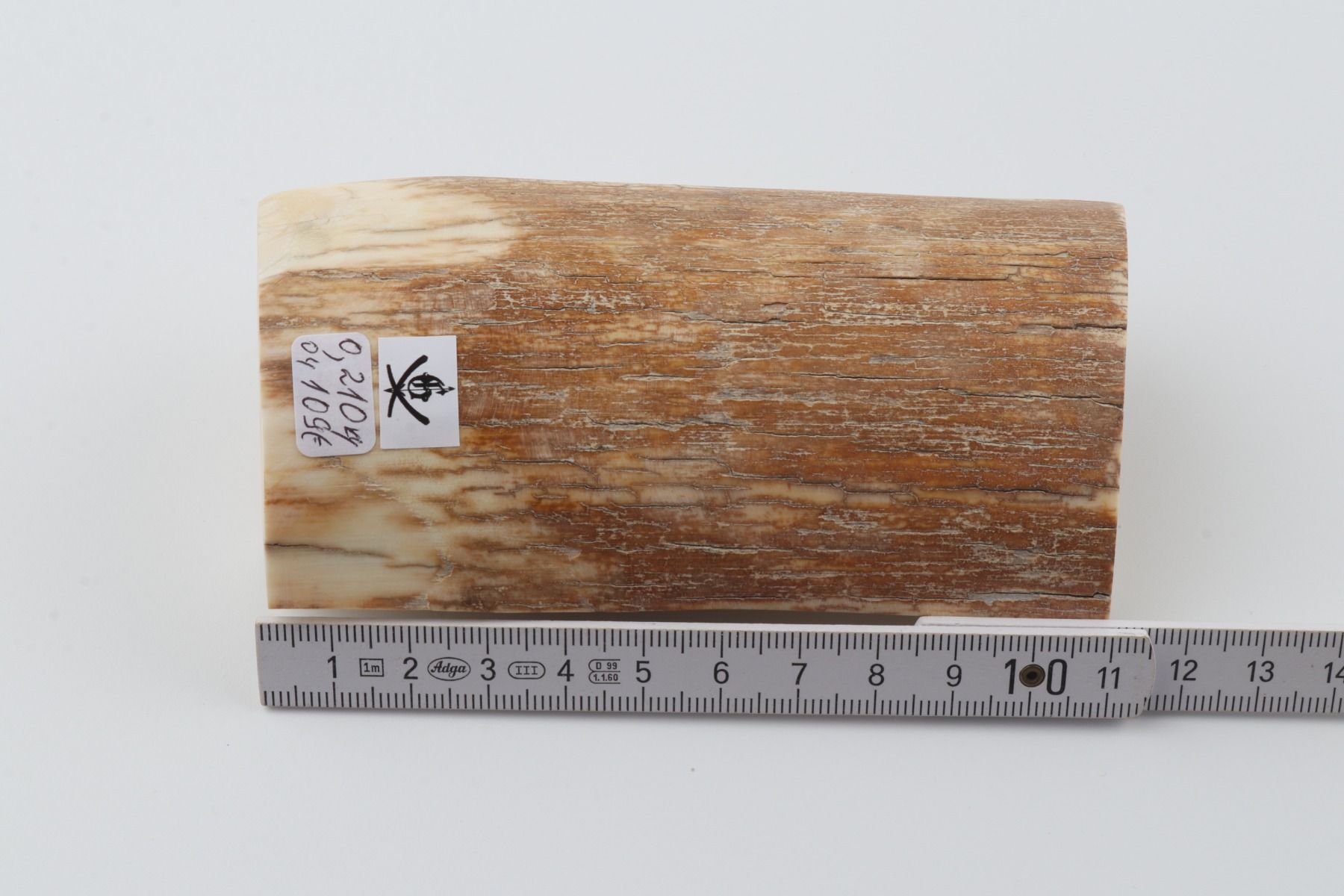 Natural mammoth ivory piece