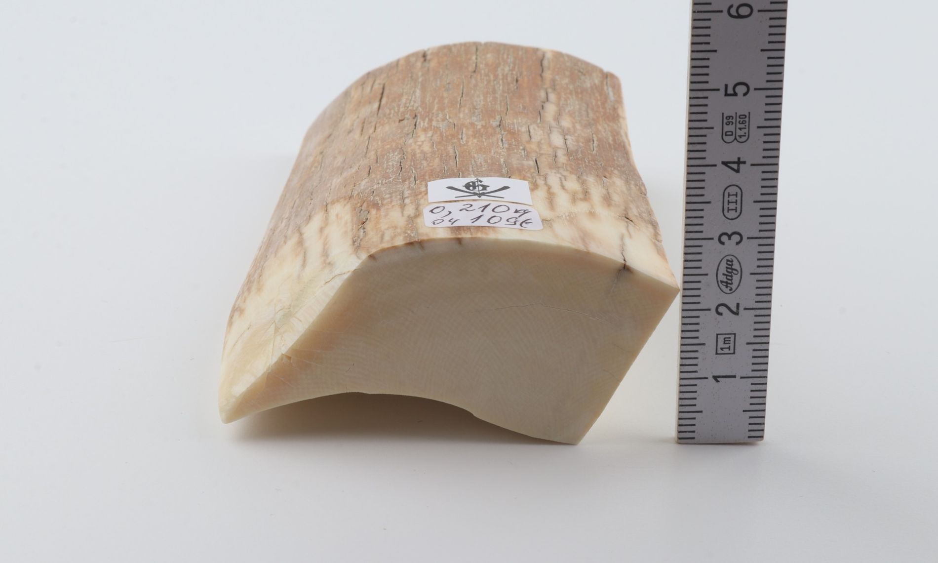 Natural mammoth ivory piece