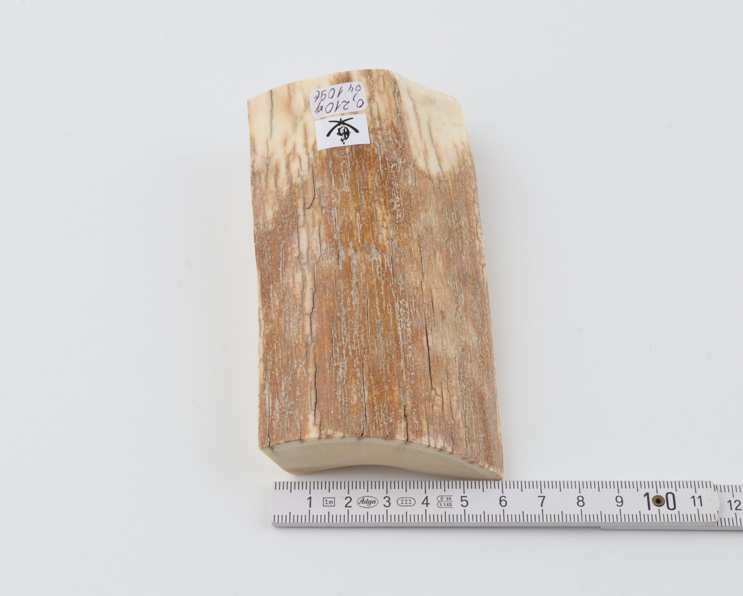 Natural mammoth ivory piece