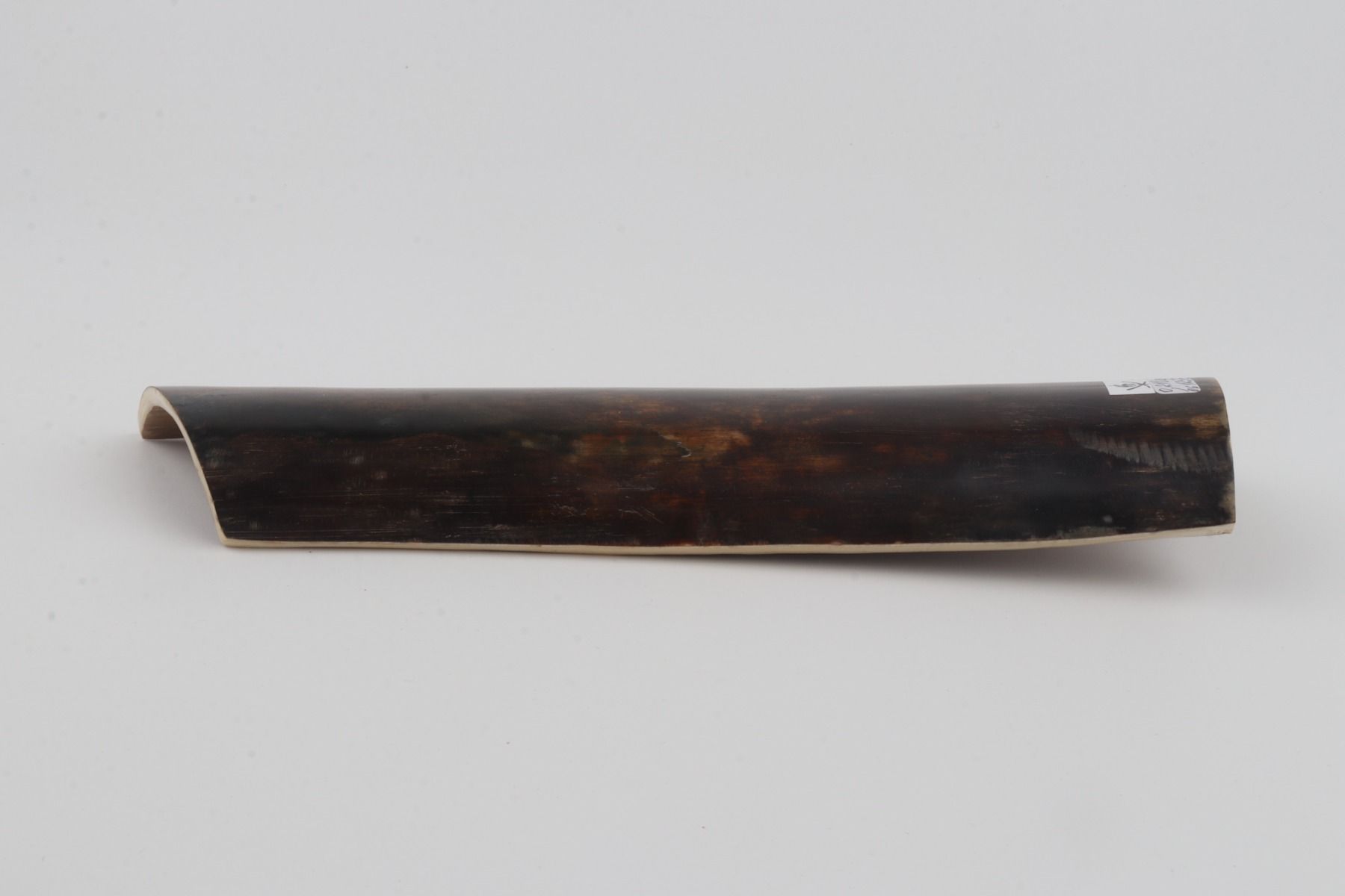 Brown mammoth bark