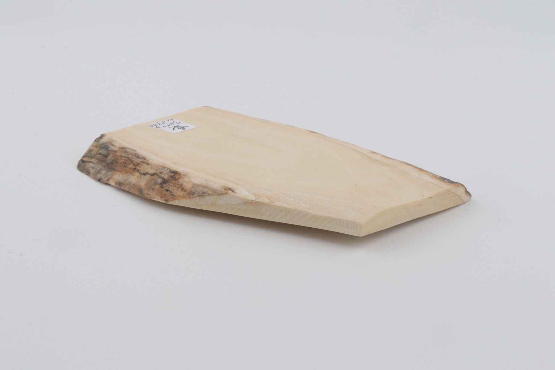 White mammoth ivory segment
