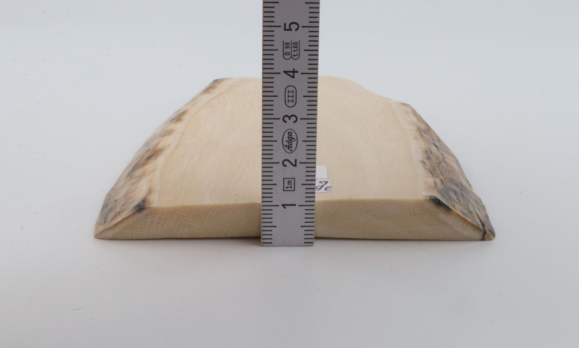 White mammoth ivory segment