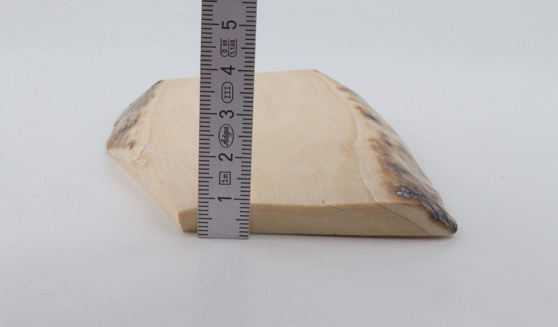 White mammoth ivory segment