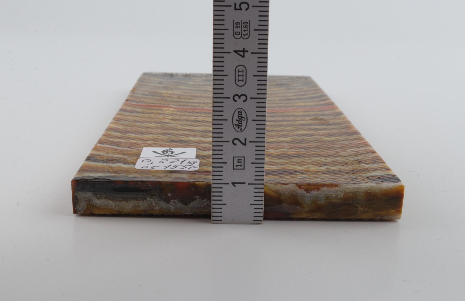 Stabilised mammoth molar scales