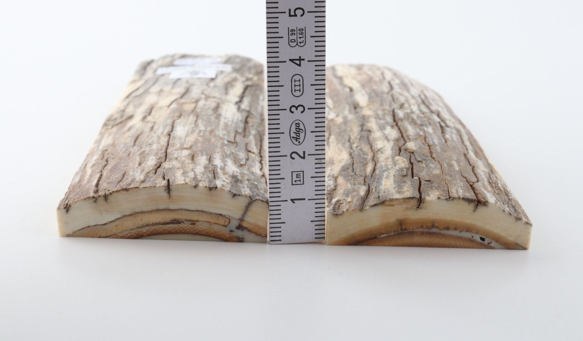 Stabilised mammoth bark scales