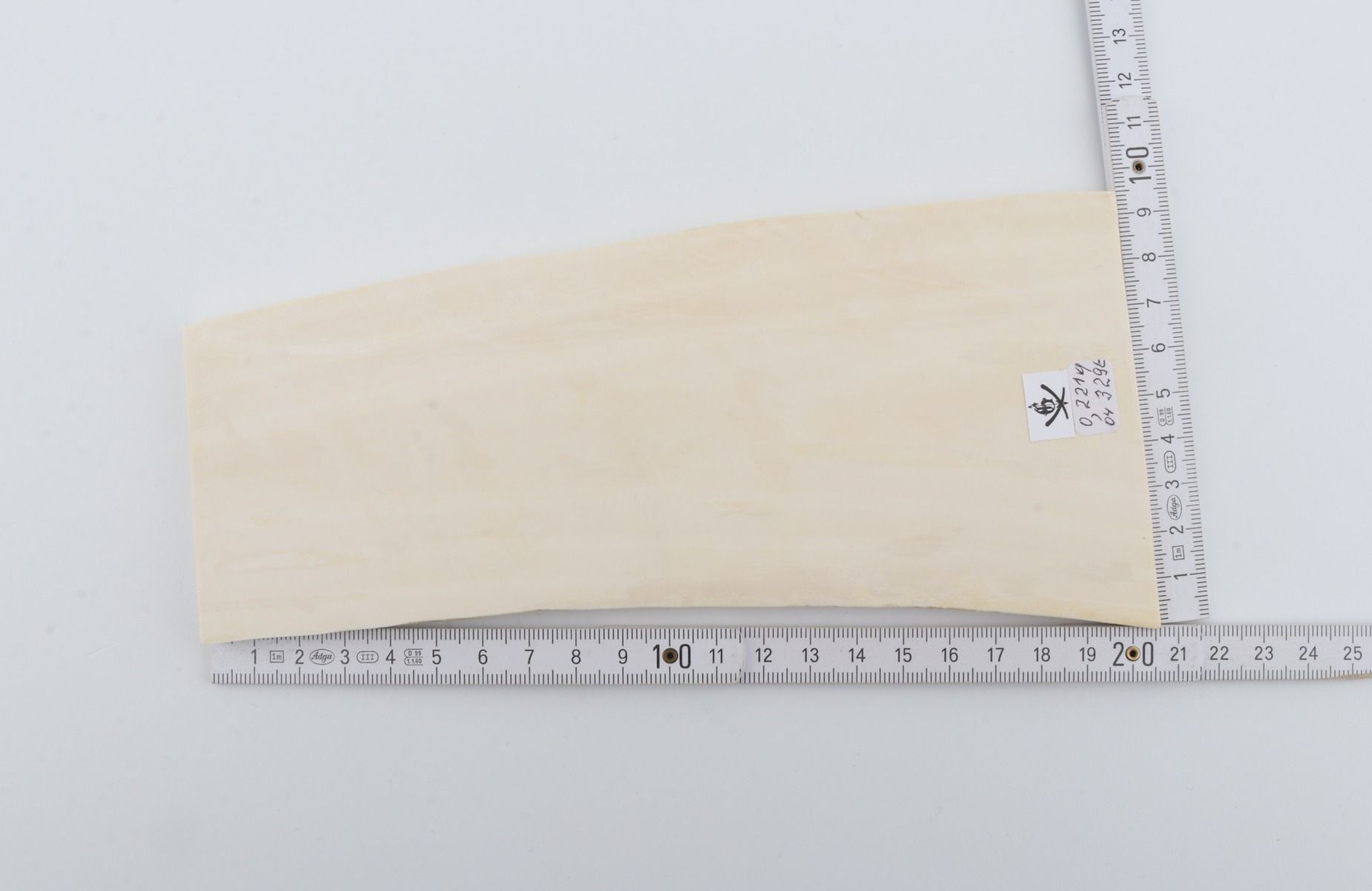 White mammoth ivory segment