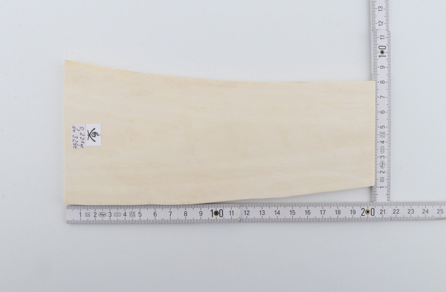 White mammoth ivory segment