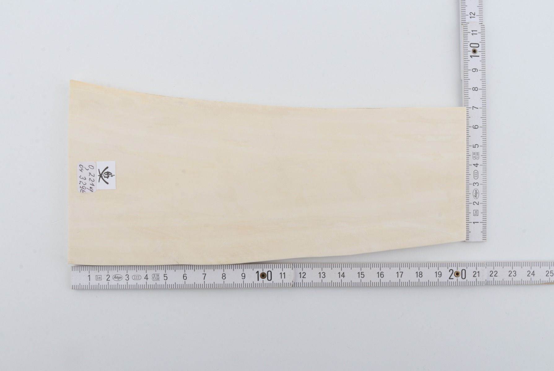 White mammoth ivory segment