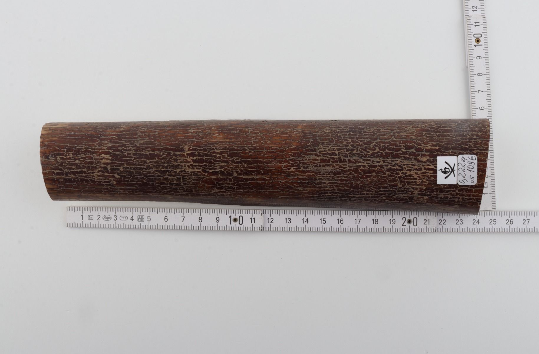 Brown mammoth bark