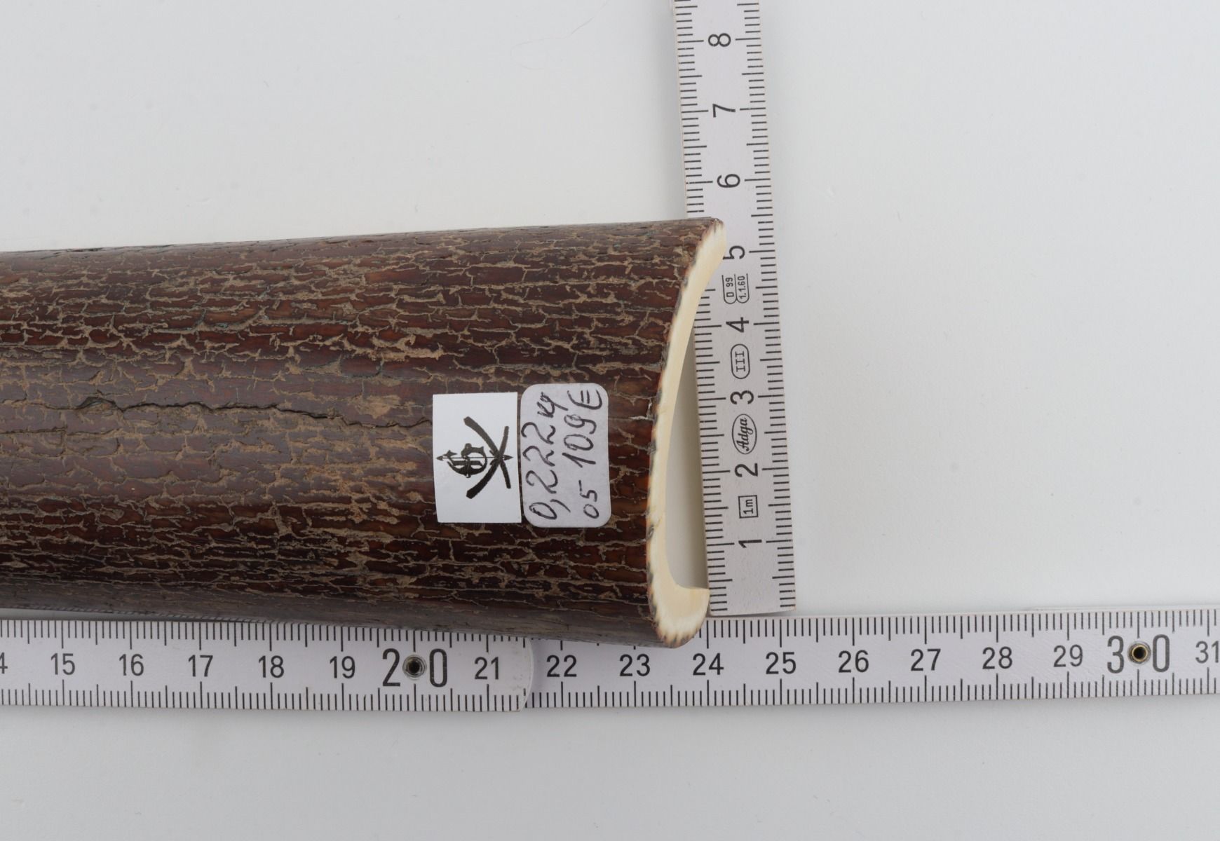 Brown mammoth bark