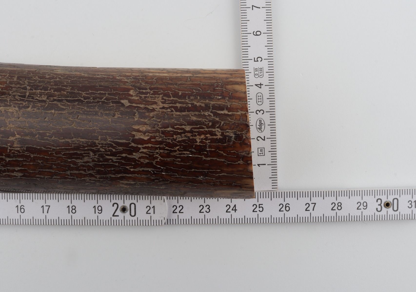 Brown mammoth bark