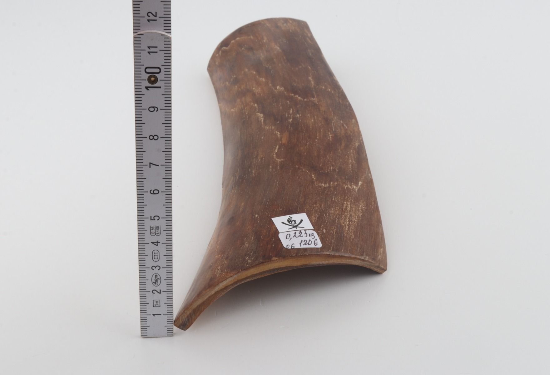 Brown mammoth bark