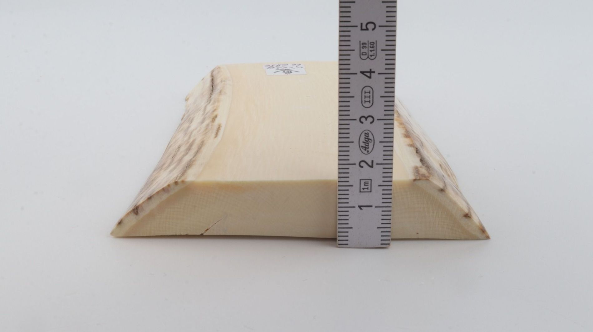 White mammoth ivory segment