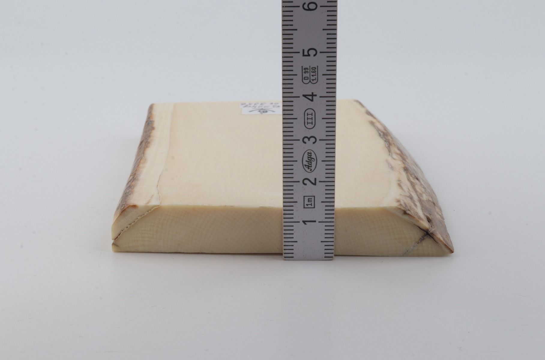 White mammoth ivory segment